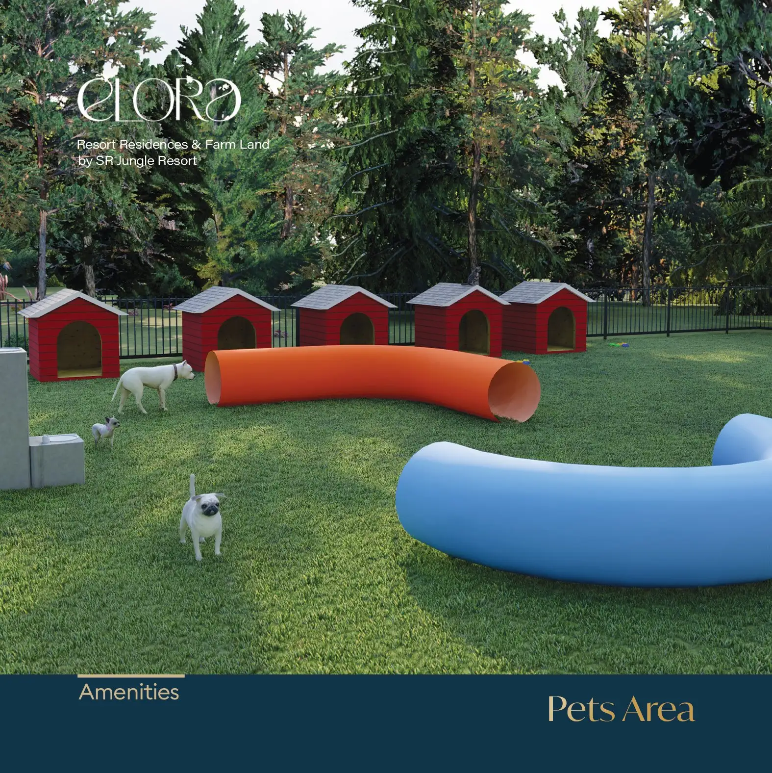 Pets Area